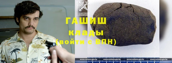 прущие грибы Армянск