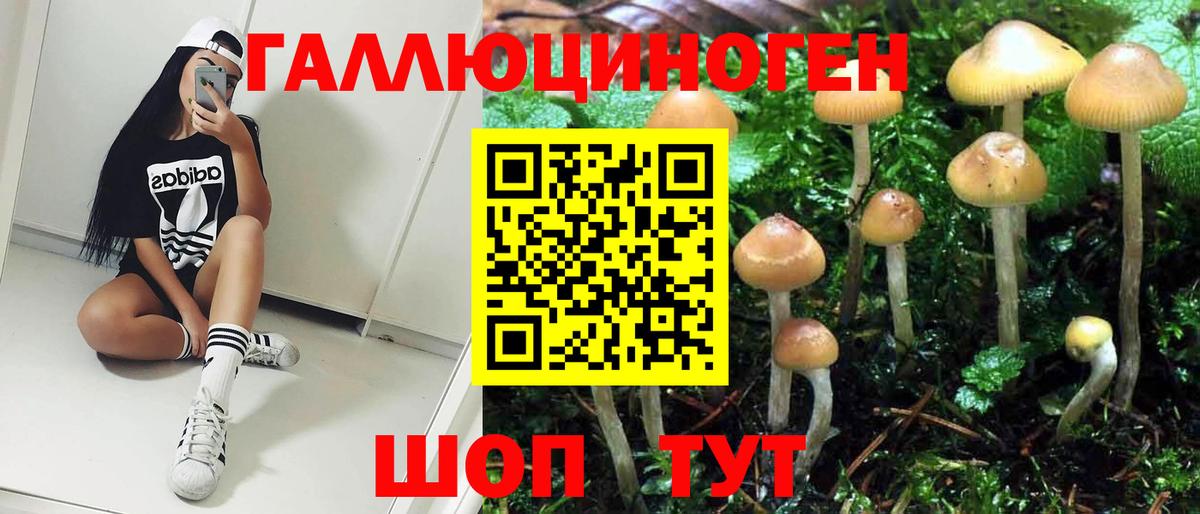 Псилоцибиновые грибы Psilocybine cubensis Усолье-Сибирское