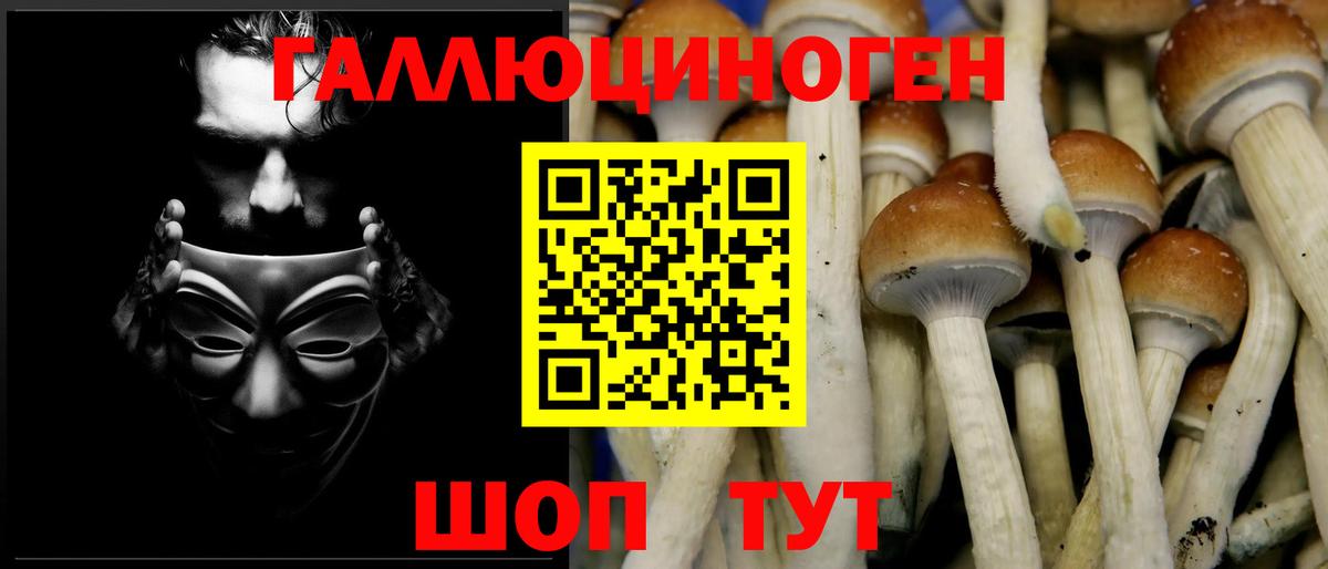 Галлюциногенные грибы Magic Shrooms  Галлюциногенные грибы Psilocybine cubensis  Вход с VPN  Усолье-Сибирское 
